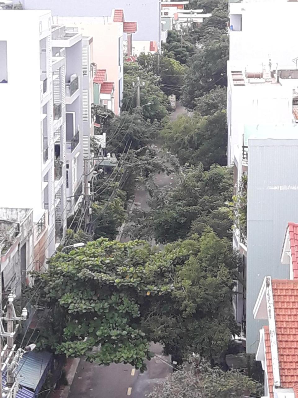 Anh Quan Hotel Quy Nhon Eksteriør bilde